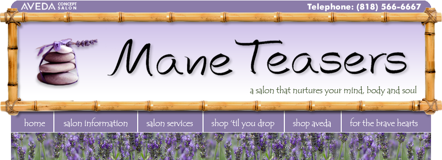 Mane Teasers   |  Aveda Concept Salon   |  Burbank