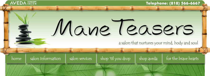 Mane Teasers   |  Aveda Concept Salon   |  Burbank
